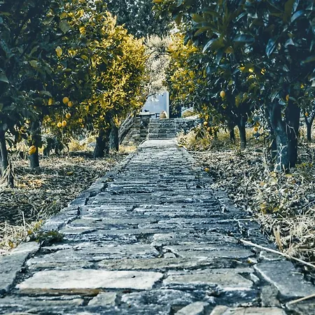 The Hillside Tower - Next To Pithara Waterfalls * Άνδρος